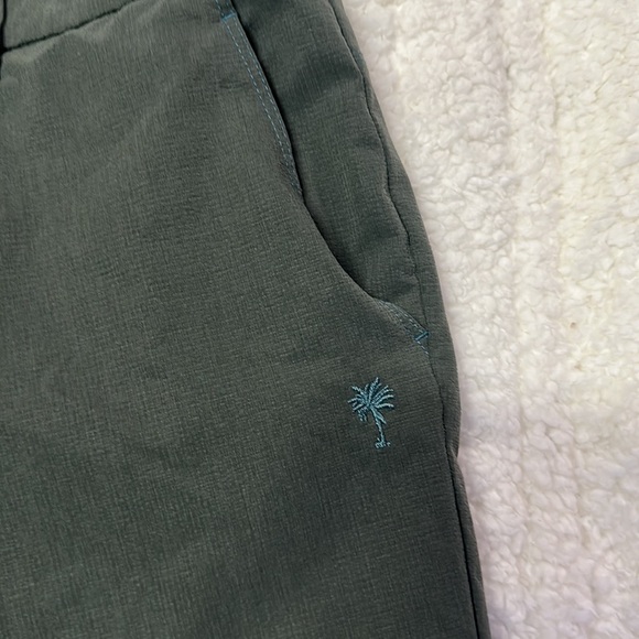 MEN'S trunks swim and surf Company, size 30 shorts - Picture 2 of 5